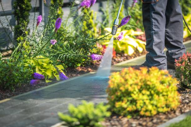 Best Gutter Cleaning  in Aledo, IL
