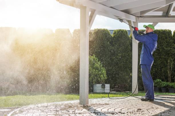 Best Fence Cleaning  in Aledo, IL